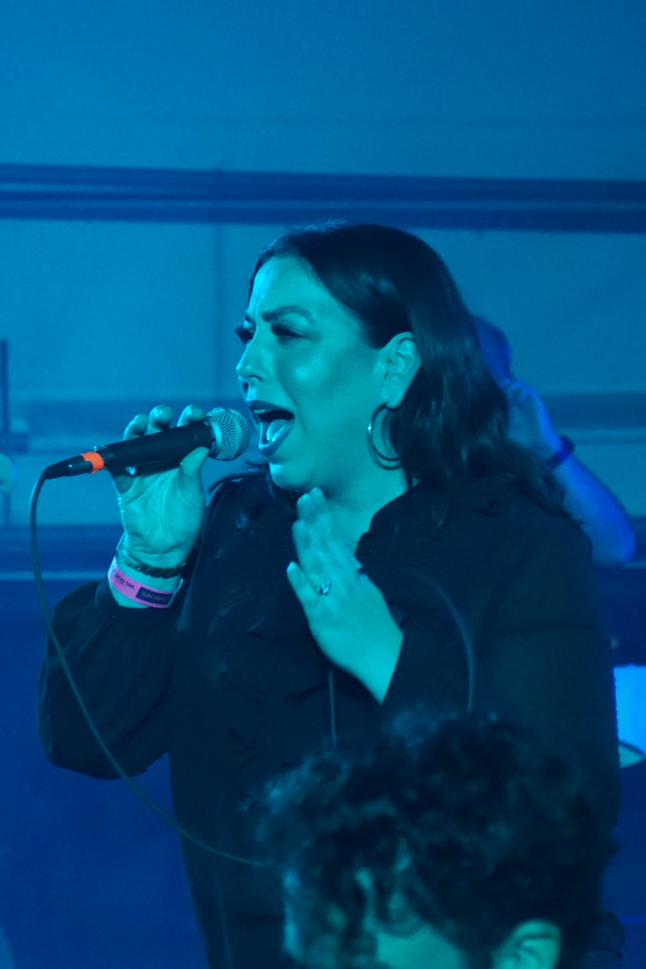 Vicki Modica Vocals